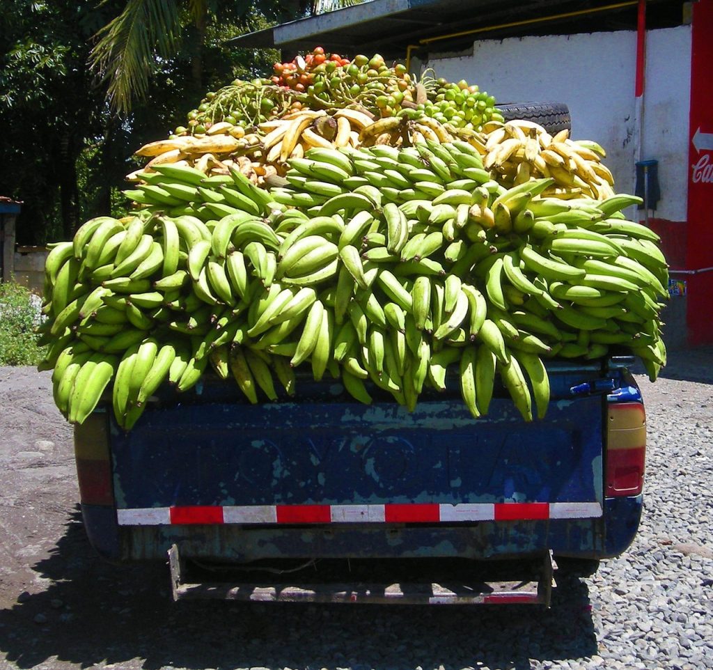 banana, plantain, truck, panama, food, fruit, yellow, green, toyota, banana, plantain, plantain, plantain, plantain, plantain, panama, panama, panama, panama, toyota